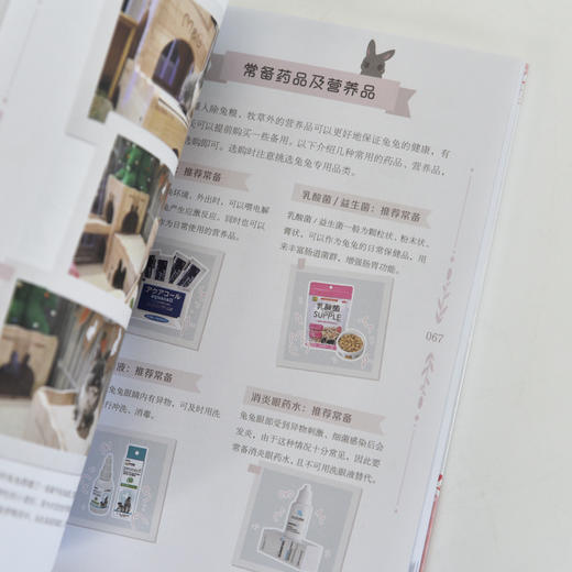 *开始养兔兔 兔兔行为及养护指南 养兔手册 养兔子书籍 宠物兔饲养 兔兔子行为解读 新手养兔攻略 商品图1