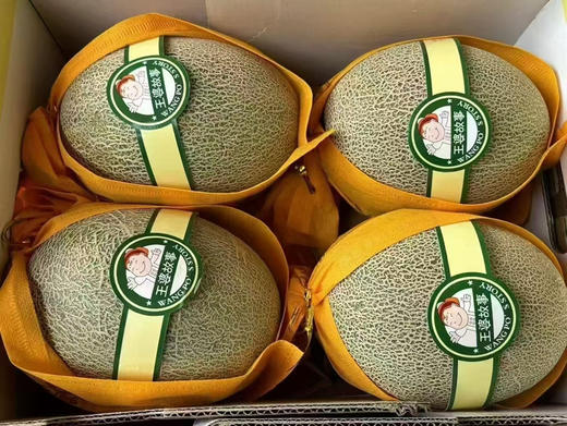 蜜瓜脆甜人气王来喽，晓蜜，纹路清晰。🍈甜如蜂蜜💯💯脆过雪梨皮薄又甜又脆[色][色][色]狂甩普通蜜瓜几条街🌟 商品图9