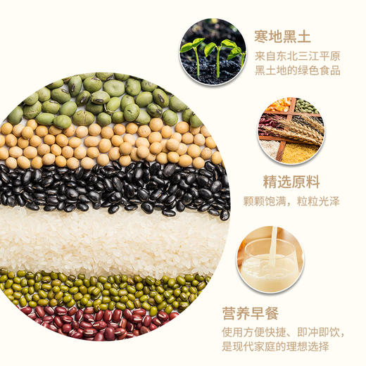 冬梅-五谷丨燕麦红枣豆浆粉300g 商品图1