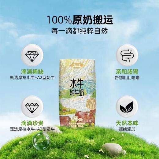 【下单送品鉴装210ml*1盒】左江A2酪蛋白水牛高钙纯牛奶  210ml*12瓶/提 （2提十堰主城区包邮） 商品图5