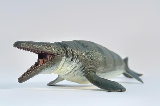 贝林自然世界苍龙PVC塑胶玩具博物馆伴手礼 商品图0