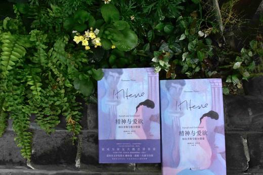 精神与爱欲：纳尔齐斯与歌尔德蒙 [德]黑塞/著 黑塞 精神与爱欲 纳尔齐斯 歌尔德蒙 纳歌 好嗑 诺贝尔文学奖 广西师范大学出版社 商品图4