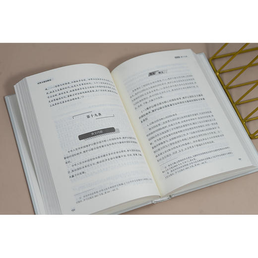 对外关系法释用 何其生 范子豪著 法律出版社 商品图2