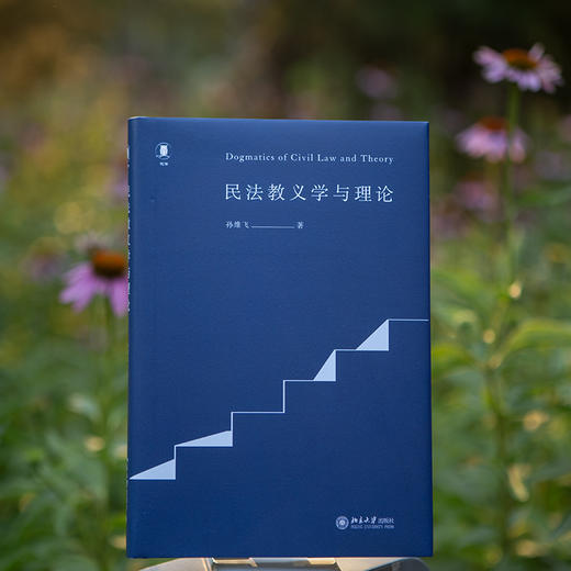 民法教义学与理论 商品图2