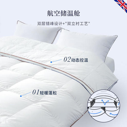 DownlandClima微控温复合鹅绒被 商品图2