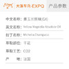 黄玉兰原精GX Michelia Champaka 法国直采 原料批发芳疗 商品缩略图2