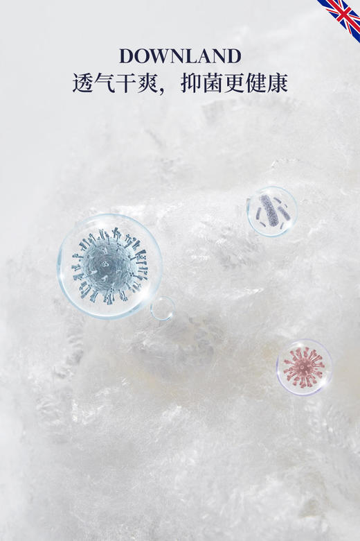 【特价秒杀】英国DownlandEco娜雅森林磨毛四件套 商品图4