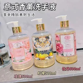 芙蒂诺洗手液 芍药花香型500ml