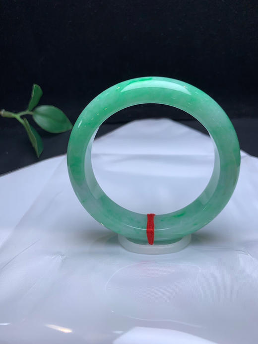 620455，54.3满果绿正圈，满绿底，清新干净 色好干净有水头 商品图0