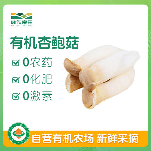 有机杏鲍菇 200g 商品图0