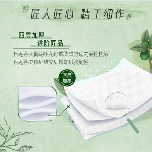 【3件减169元】得宝果木香味卷纸160克16卷 商品图4