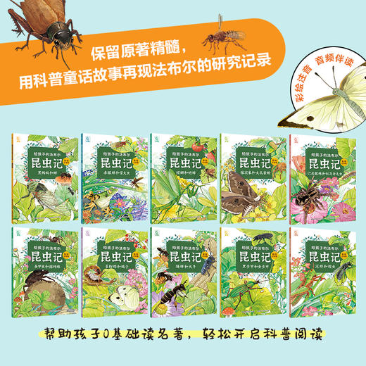 【注音版】给孩子的法布尔昆虫记（全10册） 赠：昆虫贴纸一张  20个昆虫故事260幅彩绘大图100+昆虫知识 商品图2