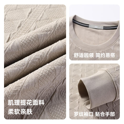 圣得西2025年秋季新款多色提花工艺休闲百搭男士圆领T恤长袖上衣 商品图5