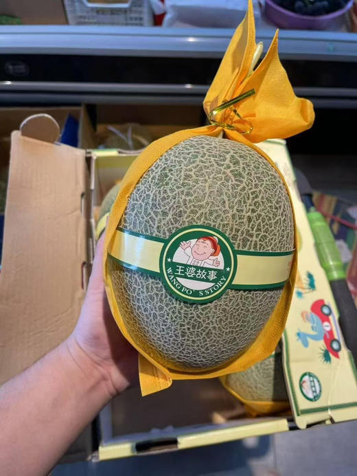 蜜瓜脆甜人气王来喽，晓蜜，纹路清晰。🍈甜如蜂蜜💯💯脆过雪梨皮薄又甜又脆[色][色][色]狂甩普通蜜瓜几条街🌟 商品图8