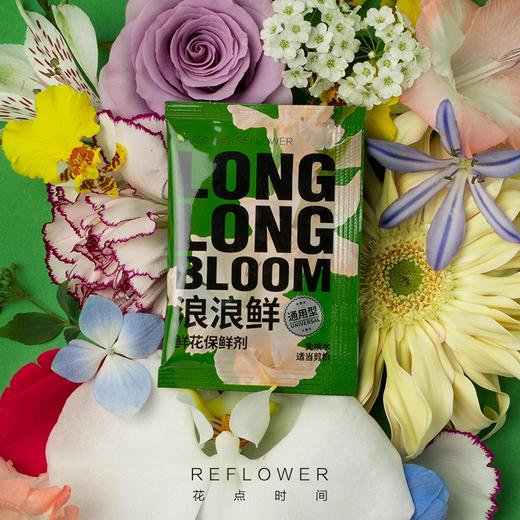 浪浪鲜液体保鲜剂 5ml （1包） 商品图0