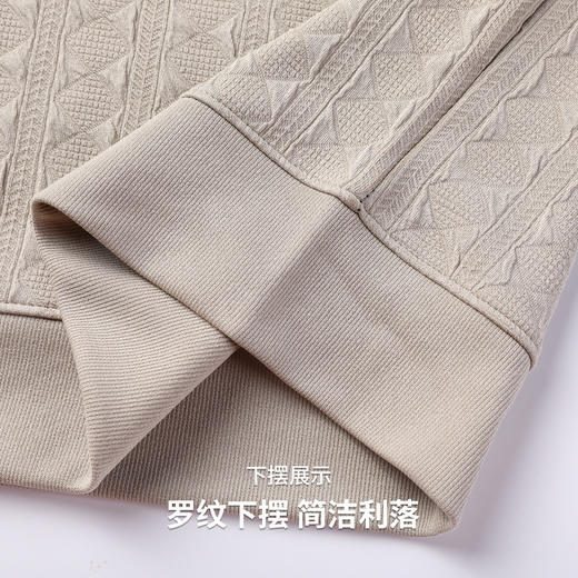 圣得西2025年秋季新款多色提花工艺休闲百搭男士圆领T恤长袖上衣 商品图9