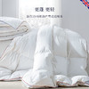 DownlandClima微控温复合鹅绒被 商品缩略图4