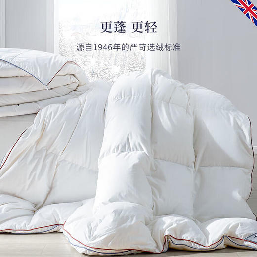 DownlandClima微控温复合鹅绒被 商品图4