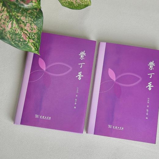 紫丁香 商品图1