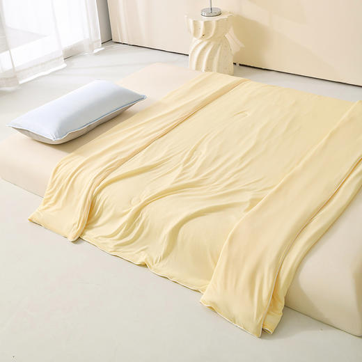 🥰降价啦!!【A类凉感丝纯色冰淇淋冷感夏凉被】🥰冰冰凉凉!!带报告的夏凉被 💗今夏性价比高的冰淇淋夏凉被盖在身上的“小空调” ✔️床品店一床要好几百咱们直发破价到底 商品图6