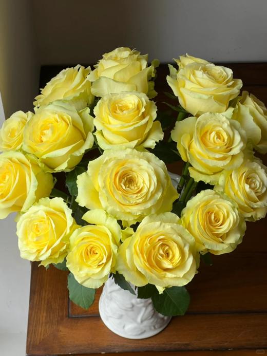 精品花材浪漫沙滩玫瑰A级 商品图2