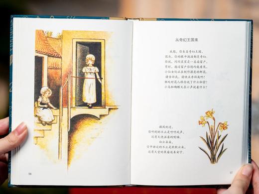 《金色小童书典藏合集》（全20册·侧插礼盒装） 《纽约时报》、皇家学院、《泰晤士报》等强烈推荐。 商品图4