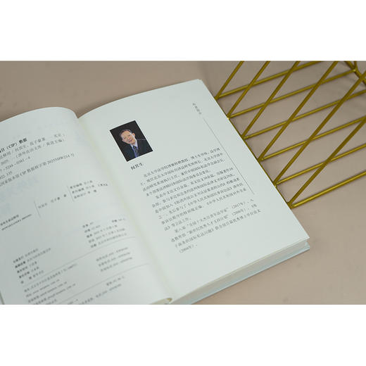 对外关系法释用 何其生 范子豪著 法律出版社 商品图3