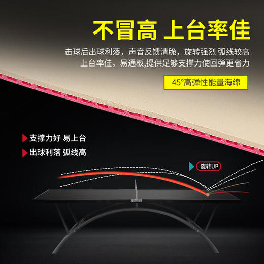 GEWO杰沃葡萄450捷沃质子尼奥450涩性反胶乒乓球套胶 商品图2