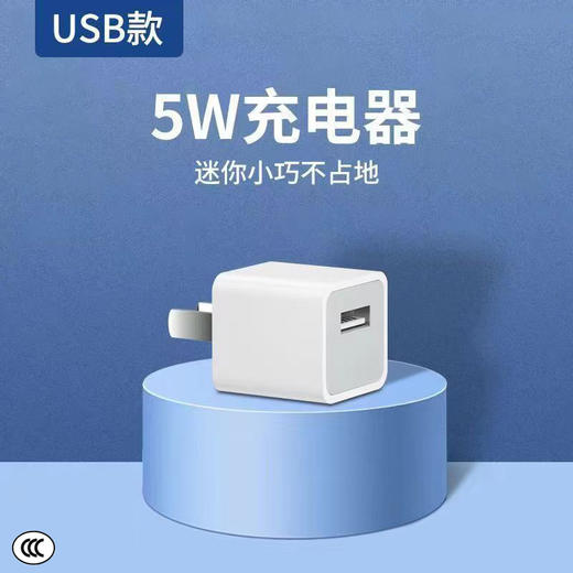 5W快充充电器 适用苹果13/12 ipad充电头 苹果/盒 商品图1
