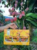 小金凤芒果  香甜多汁 商品缩略图3