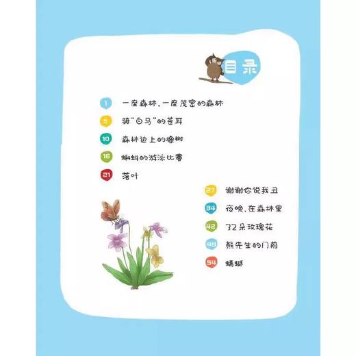 中国经典科学童话——小巴掌科学童话 （适读6~8岁） 商品图2