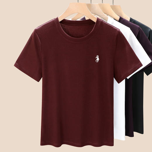 「自」全新升级【铂金会员109/天猫139/差价30】(04350)洛诗琳天丝时尚小马刺绣圆领T恤2025夏季新款莱赛尔短袖上衣 商品图3