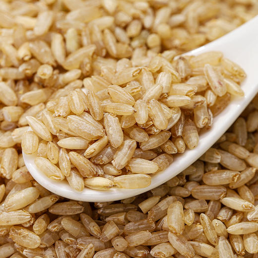 【沙垦庄园】发芽糙米·500g 商品图2