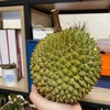 【液氮黑刺榴莲】正宗马来西亚进口！液氮整颗极速冷冻，不破坏果肉成分，细腻醇香，比猫山王更胜一筹，榴莲中的顶级享受💪轻奢尝鲜，江浙沪皖顺丰包邮~ 商品缩略图2