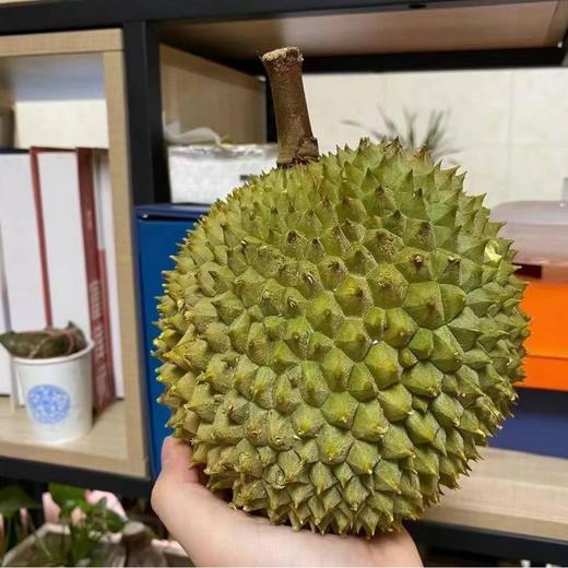 【液氮黑刺榴莲】正宗马来西亚进口！液氮整颗极速冷冻，不破坏果肉成分，细腻醇香，比猫山王更胜一筹，榴莲中的顶级享受💪轻奢尝鲜，江浙沪皖顺丰包邮~ 商品图2