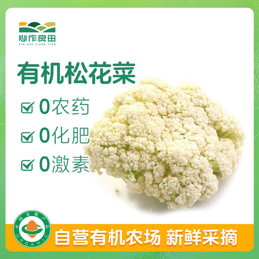 有机松花菜400克 商品图0