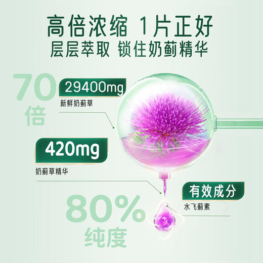 佳思敏（Nature's Way）澳萃维70倍高含量奶蓟草 护肝片30粒【澳洲进口】 商品图2
