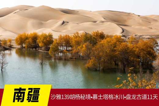 10月25日南疆【沙雅139胡杨秘境】•慕士塔格冰川•盘龙古道11天摄影团 商品图0