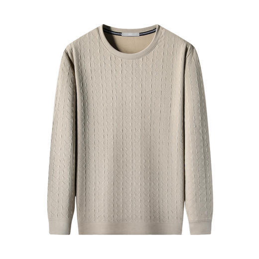 圣得西2025年秋季新款多色提花工艺休闲百搭男士圆领T恤长袖上衣 商品图0