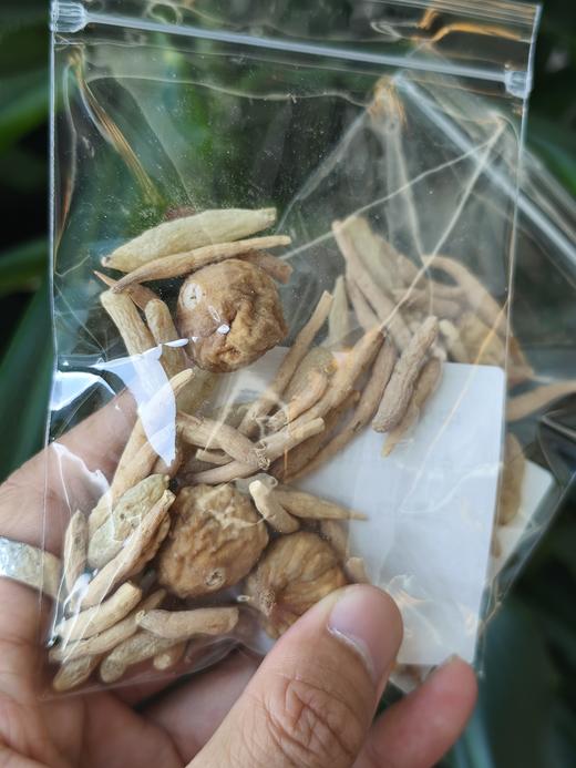中伏·太子参汤包  5小包（仅快递发货包邮）-花茶 商品图1