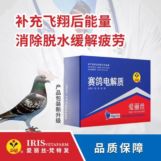 【赛鸽电解质】赛鸽补体电解质（爱丽丝） 商品图0
