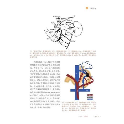 食管胃静脉曲张内镜下个体化与分层诊疗/内镜/分层诊疗/食管胃静脉曲张/韦炜主编/浙江大学出版社 商品图4