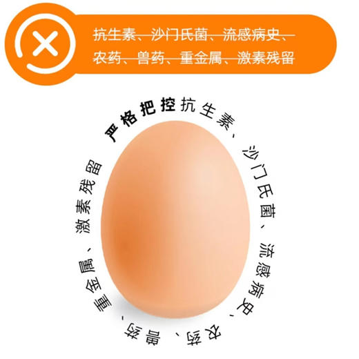 【赑隆】无抗富硒蛋（30枚装） 商品图4