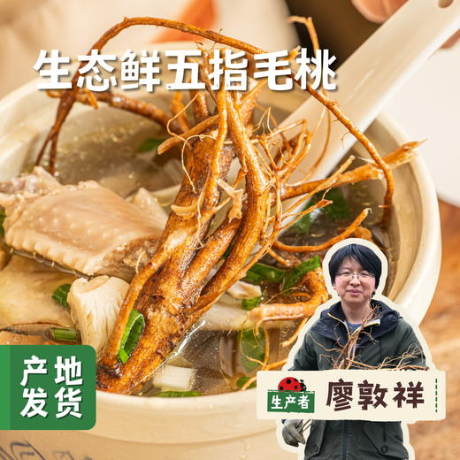 生态鲜五指毛桃 100g | 合作农友生产，来自湖南邵阳，生产者：廖敦祥 *【公平贸易农人定价】 商品图0