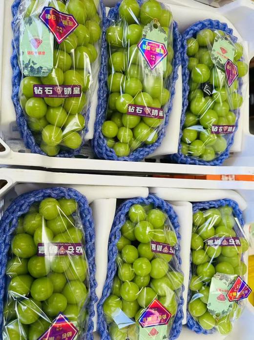 【会员32.5/斤】云南钻石晴皇阳光玫瑰青提 特级 商品图2