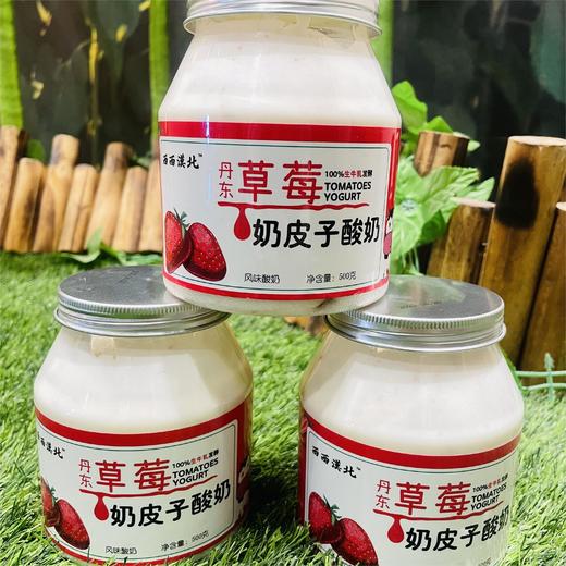 内蒙古奶皮子酸奶 | 酸奶家族重磅升级! 创新融合浓厚奶香与0弹奶皮 100%生牛乳发酵 配料干净 内蒙直发 下单现做 商品图4