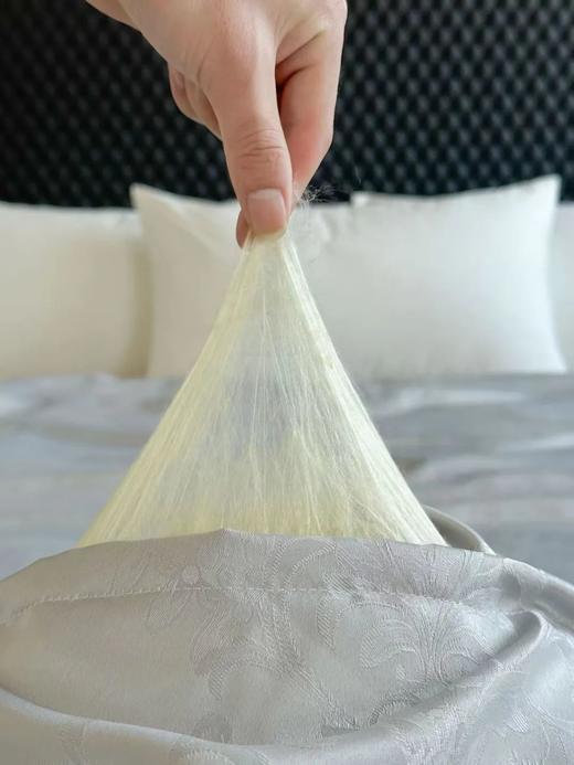 黄金丝蚕丝被，亲肤舒爽，冬暖夏凉，不是所有桑蚕丝都叫黄金蚕丝 商品图6
