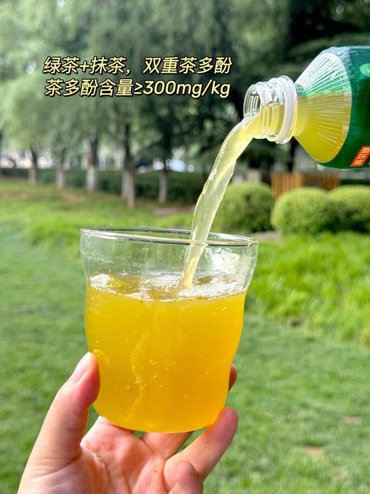 怕脂肪⁉️喝“生茶”‼️📦减脂期姐妹连续喝空三大箱 英贝健脂肪对策™️生茶|0糖0脂0卡 💥❶瓶激活峨眉山绿茶×婺源抹茶CP 商品图4