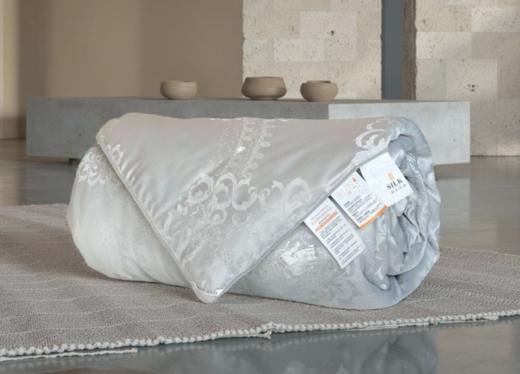 黄金丝蚕丝被，亲肤舒爽，冬暖夏凉，不是所有桑蚕丝都叫黄金蚕丝 商品图1