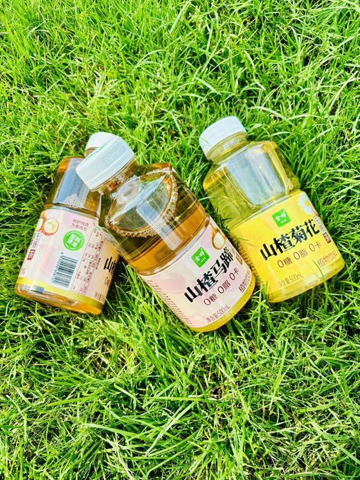 🍃金晔·植物轻饮，自然馈赠的健康美学「0糖0脂0卡，喝出轻盈自在」 健康轻饮，悦享生活——你的春日元气补给站！ 🍃 春日限定美学，治愈系新宠来袭！ 商品图0